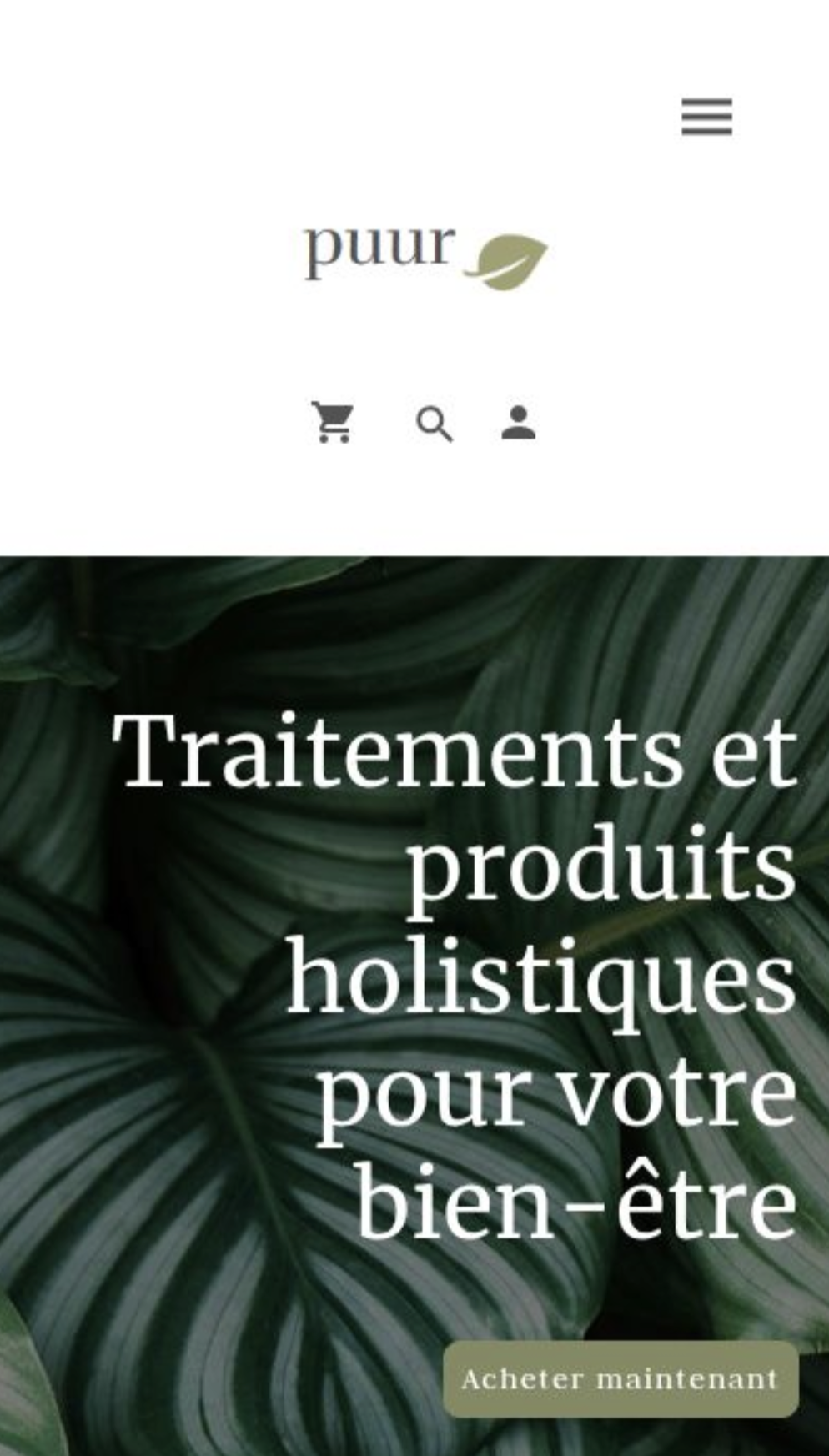 Aperçu du site puur.shop