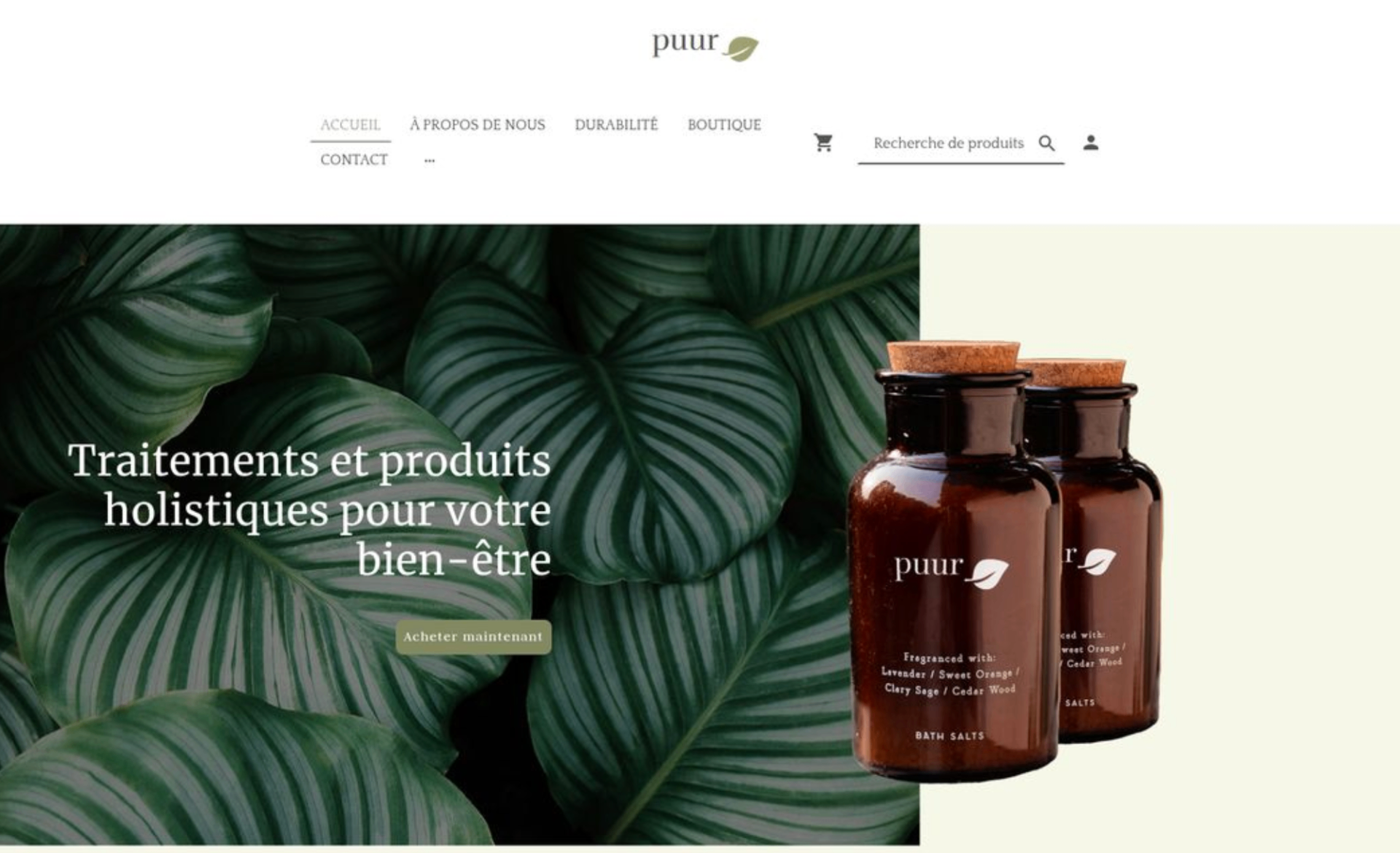 Aperçu du site puur.shop