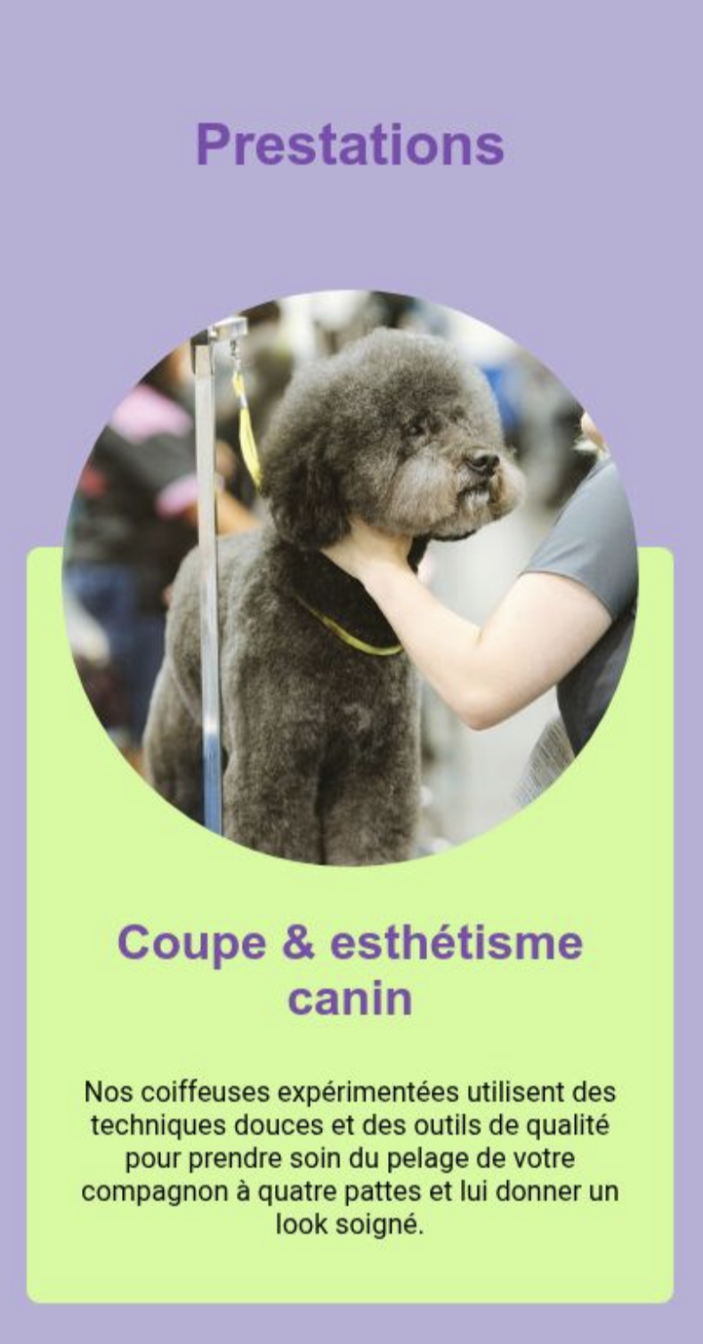 Aperçu du site toilettage-belle-patte.fr
